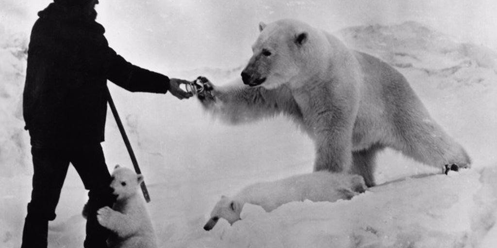 День-полярника-1234